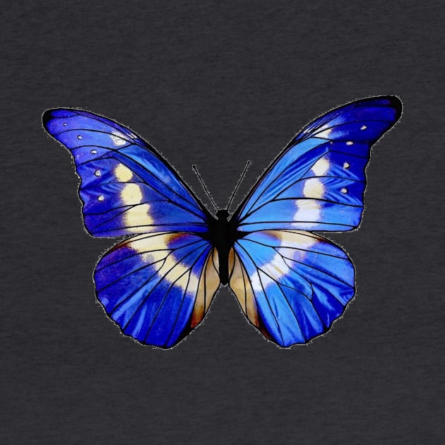 Beautiful Blue Butterfly by stickypixie